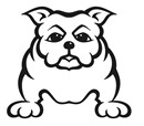 Bulldogge